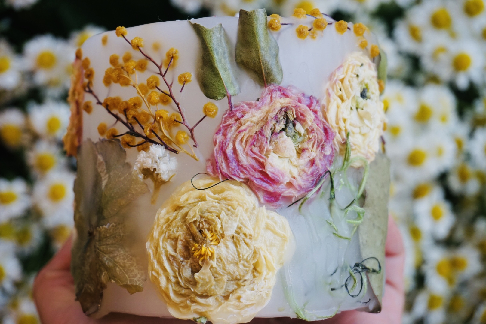 北海道 函館のお土産としても!