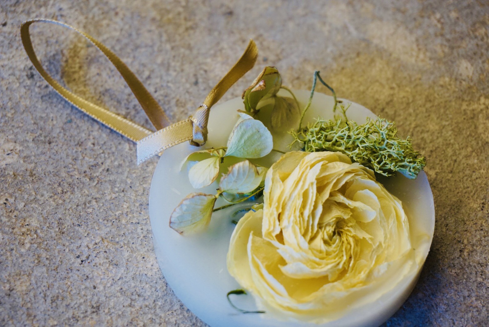 ̐EɈ̃A}TVFALOɍ쐬̂͂łH񂨓yYɂœKł