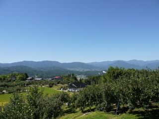 園内からの景色