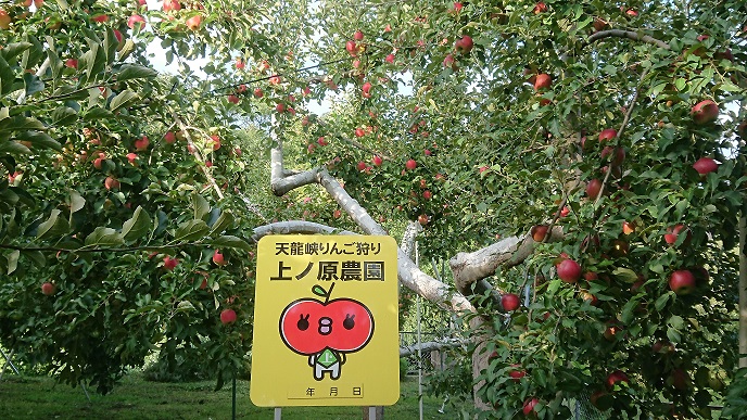 この看板が目印です!