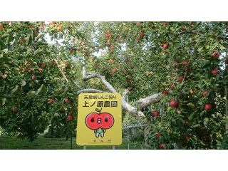 この看板が目印です!