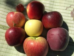 8種類、味も色々あります♪