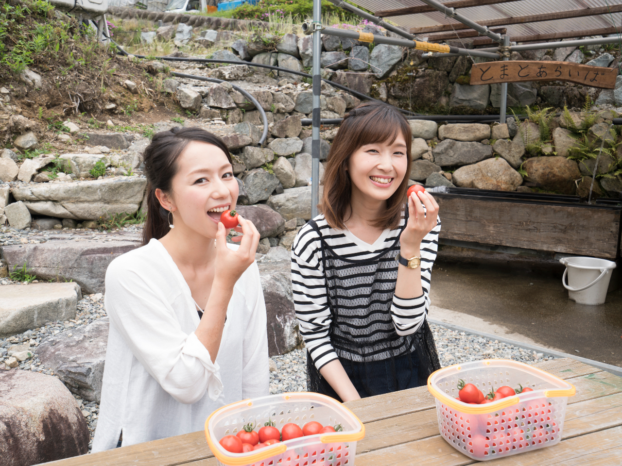 ���Z���I������琅�Ő���ĐH�ׂ邱�Ƃ��ł��܂�