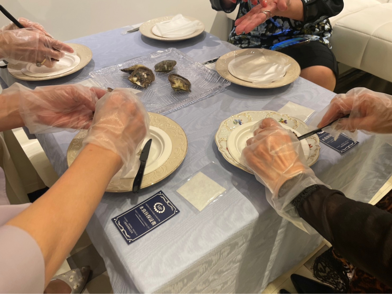 i搶p[ɂẴv`u`̌͐^ɑ΂Ă̗[܂AWG[ɐeނƂł܂B