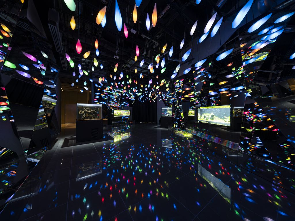 生命が存在した「奇跡の惑星」。無数の星に包まれた空間は、まるでいつか訪れたことがあるかのような既視感を覚えます。