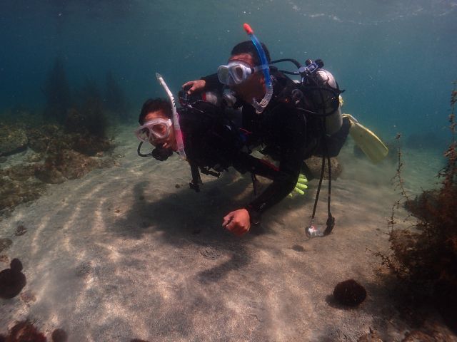 伊東 体験ダイビング 特別価格 7 700 持ち物は水着とタオルだけでok マリンロード じゃらん遊び体験 伊東 体験ダイビング 特別価格 7 700 持ち物は水着とタオルだけでok マリンロード じゃらん遊び体験