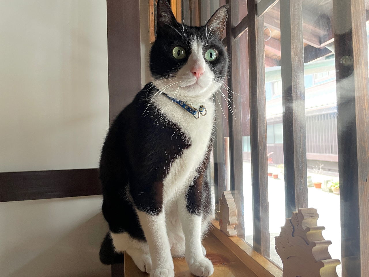 LHnόے΂ƐV̂񂱂܂肿񂪂}B⍇̐ElRłЉꂽ΂̓t@ʐ^Bɗ܂B