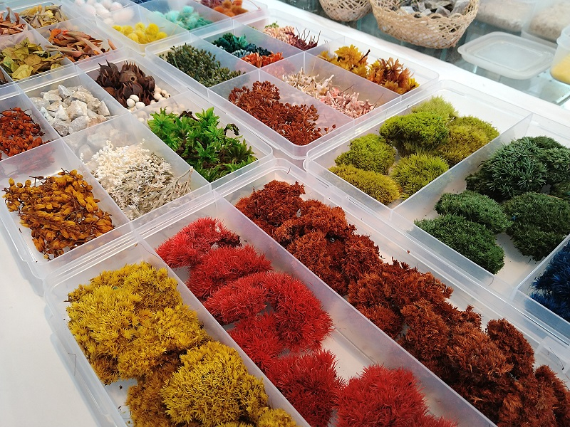 ԍނ̓oCLO`łIт@Jtȑۂ͌Ă邾ŃNN܂