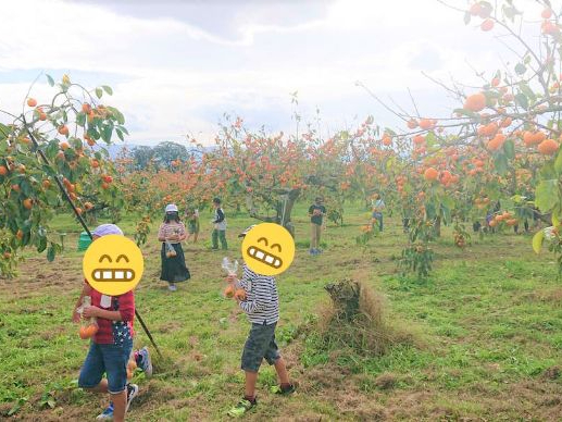 LȂ̂łqlRɉnő莩RƂӂꂠ܂B