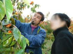 S҂ɂ񂵂`̑IѕAn@𒚔JɃN`[܂B