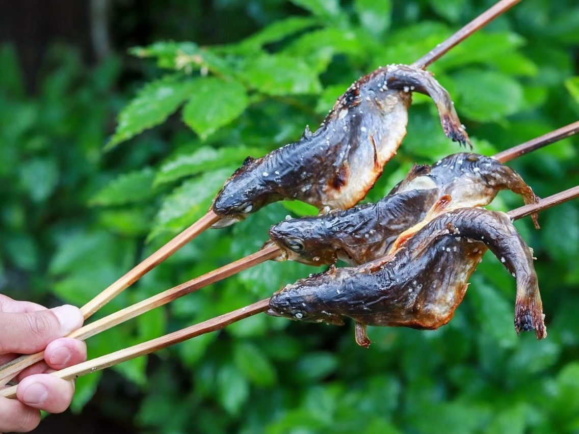 ԉĂAނ肽ĂĂ̂łƂĂłI