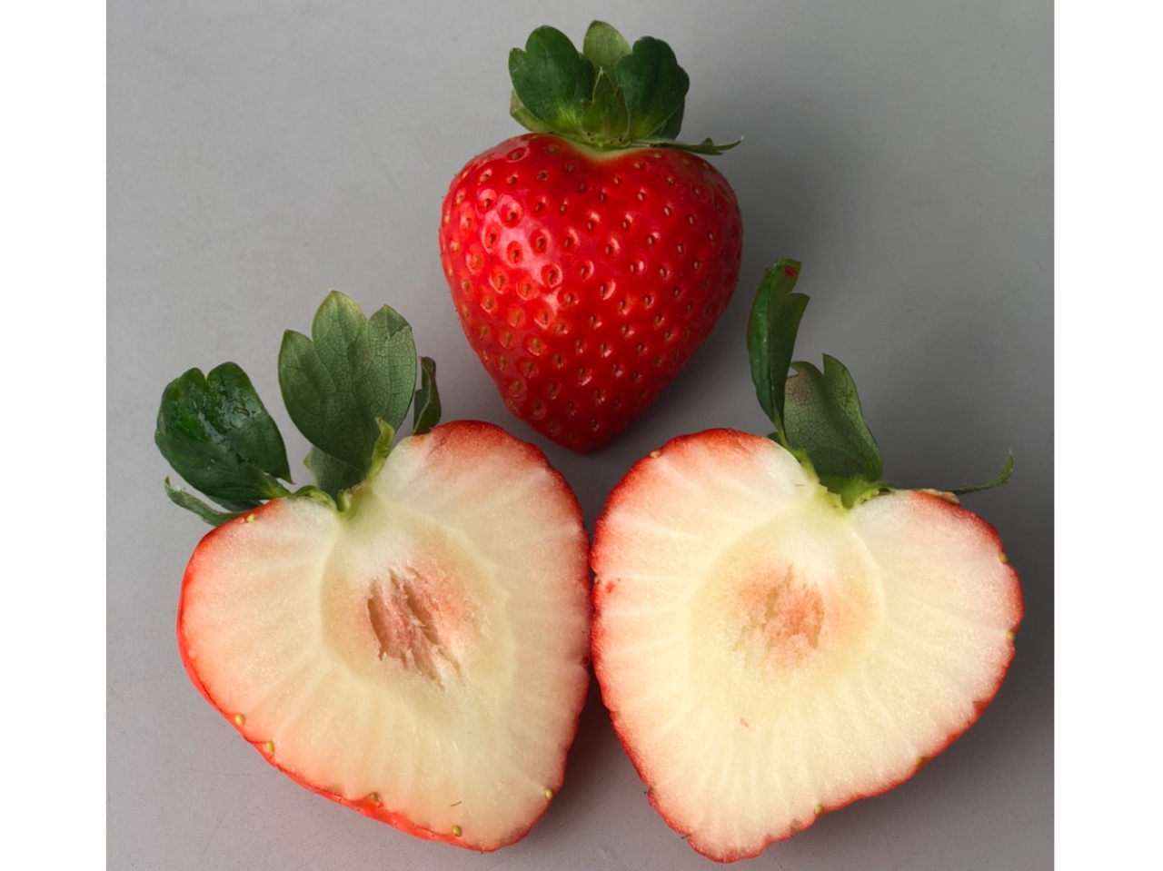 ݂̂̓n[g^̂ɏo鎞܂`