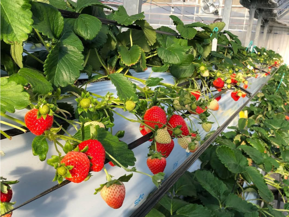 �^���ԂɎ����������������i��I��������肵�Ȃ���H�ה�ׁI�����Ƃ��D���Ȃ������ɏo���͂��I�I