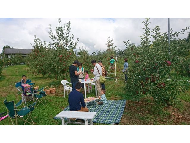 沼田ピクニック 山口果樹園 りんごの木の下で楽しくピクニック りんごの家 山口果樹園 じゃらん遊び体験 沼田ピクニック 山口果樹園 りんごの木の下で楽しくピクニック りんごの家 山口果樹園 じゃらん遊び体験