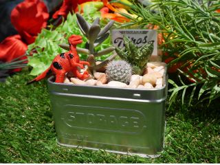 880円の体験で作れます。(恐竜・看板はオプション)