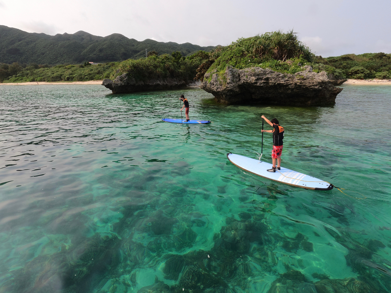 RfBVɍ킹čœKȃR[Xē܂