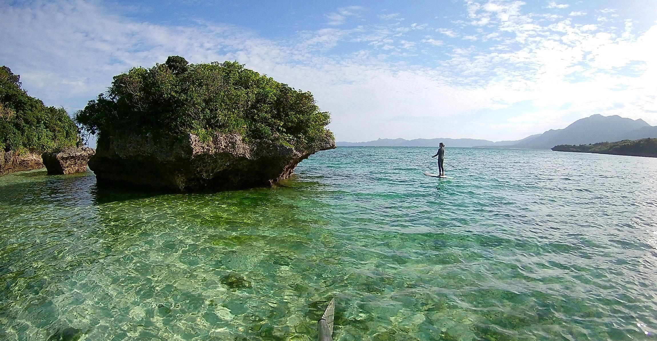 ߂ŌȌiFAԋ߂ł݂邱Ƃł܂