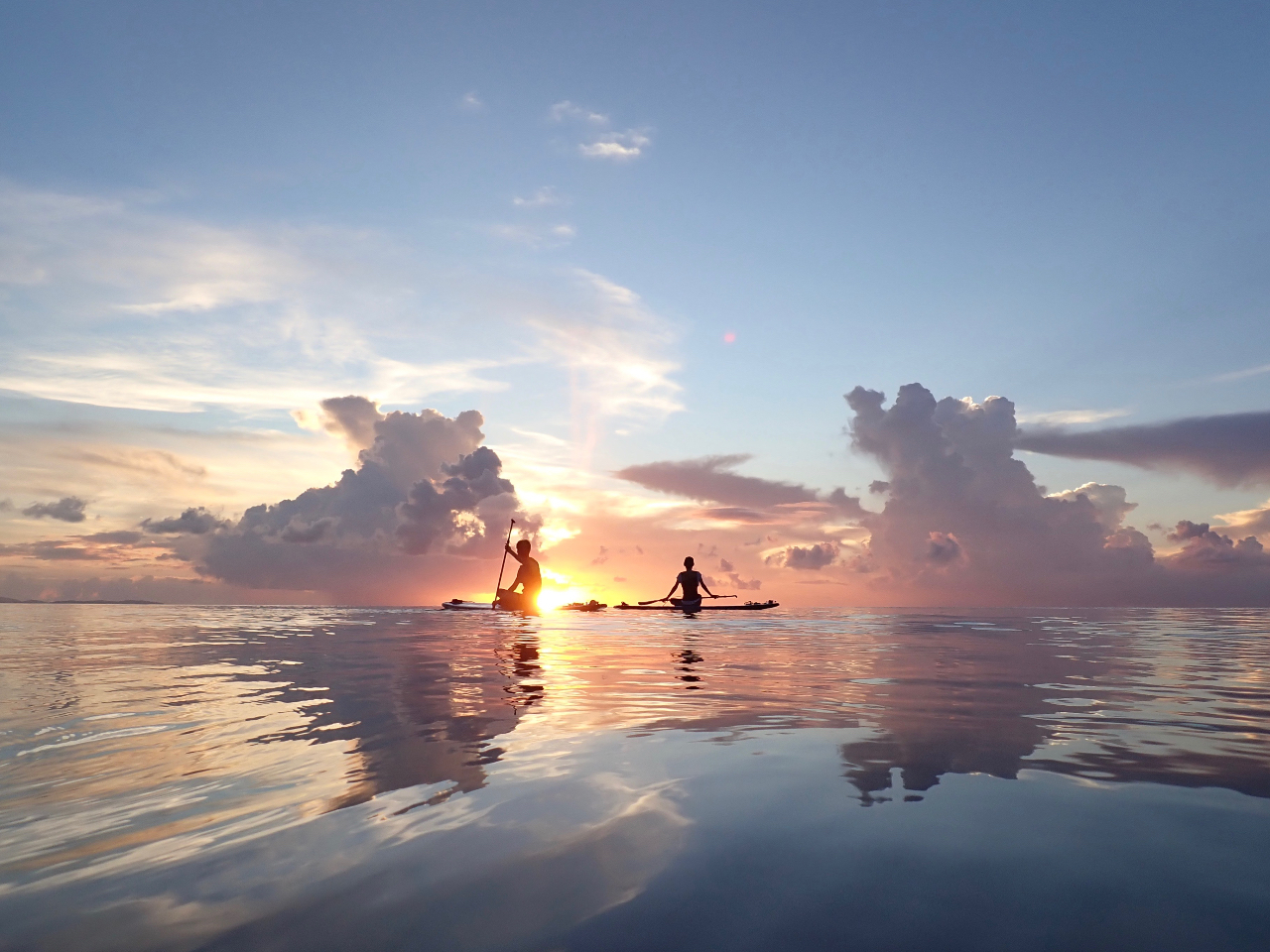 {[h̏ł낢Œz𒭂߂̂IXXł