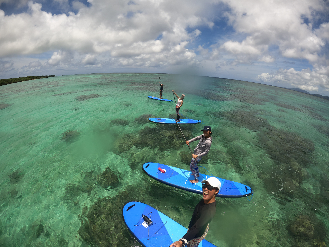 傫ȕ͂̂{[hgp܂̂ŁAoXȕł₷łBKChŃAhoCX܂̂ňSăgCĂB