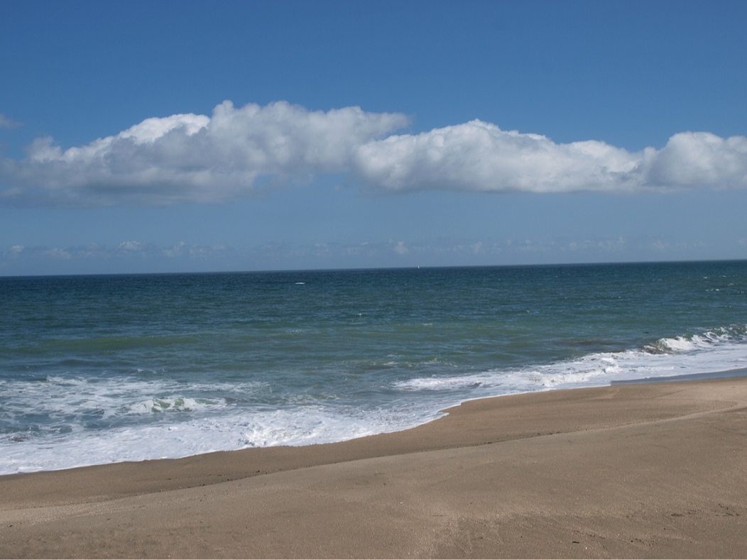湯上りに九十九里浜に散歩はいかがでしょうか(徒歩5分)