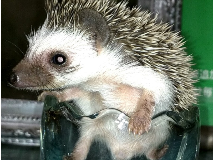 CςnlY~E``EbgEfO[BƂӂꍇ