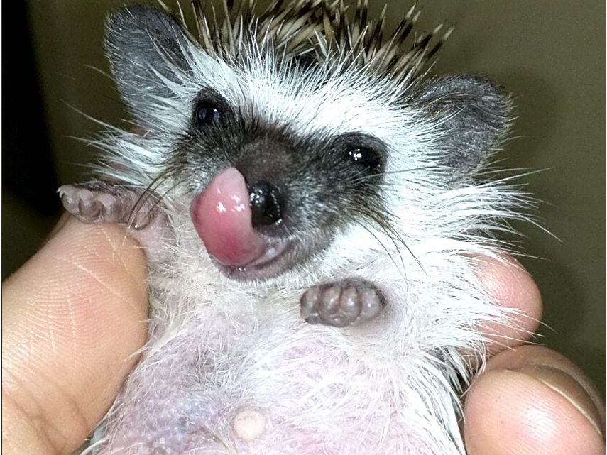 CςnlY~E``EbgEfO[BƂӂꍇ