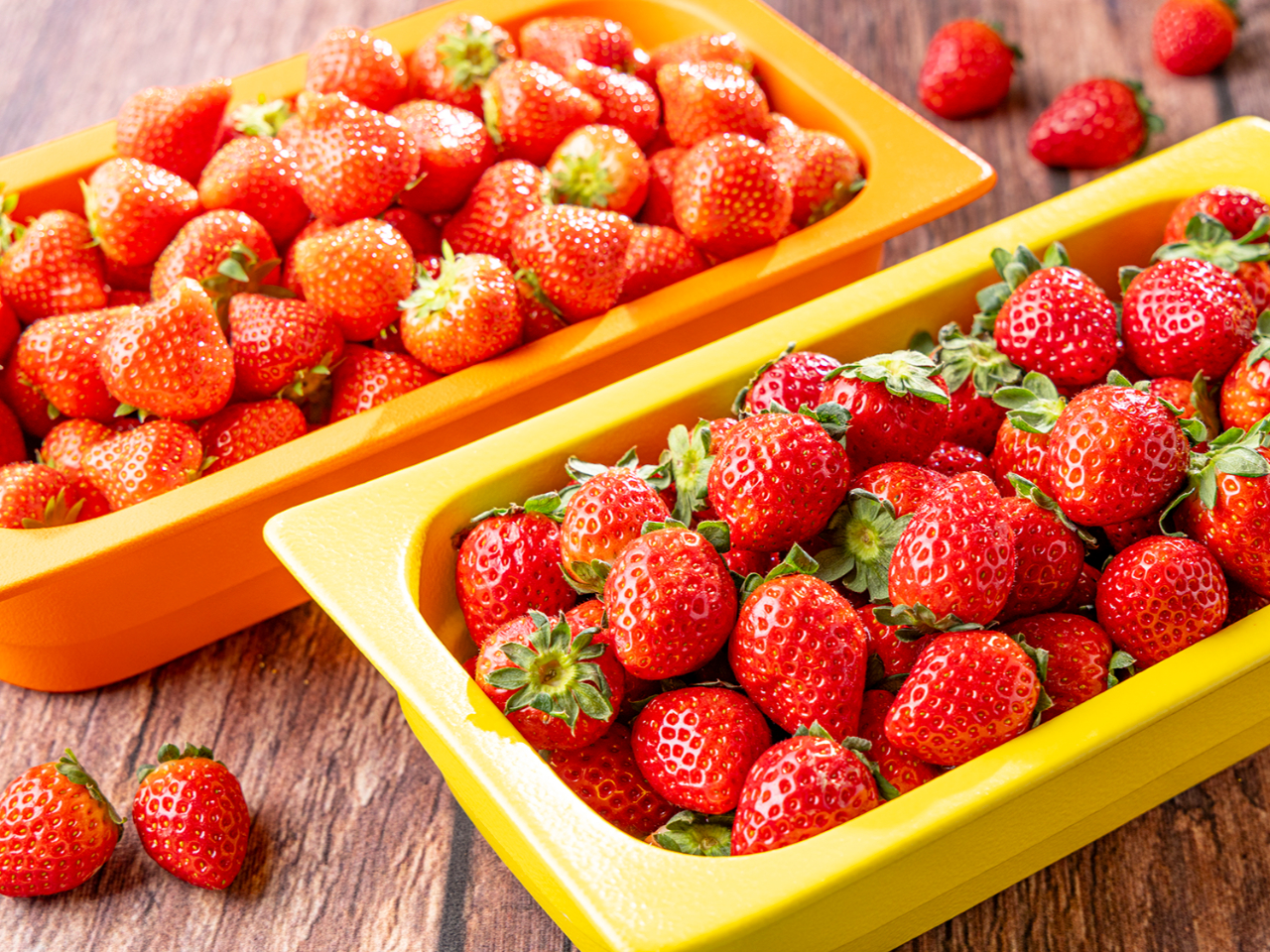 �t���b�V���������̐H�ו���