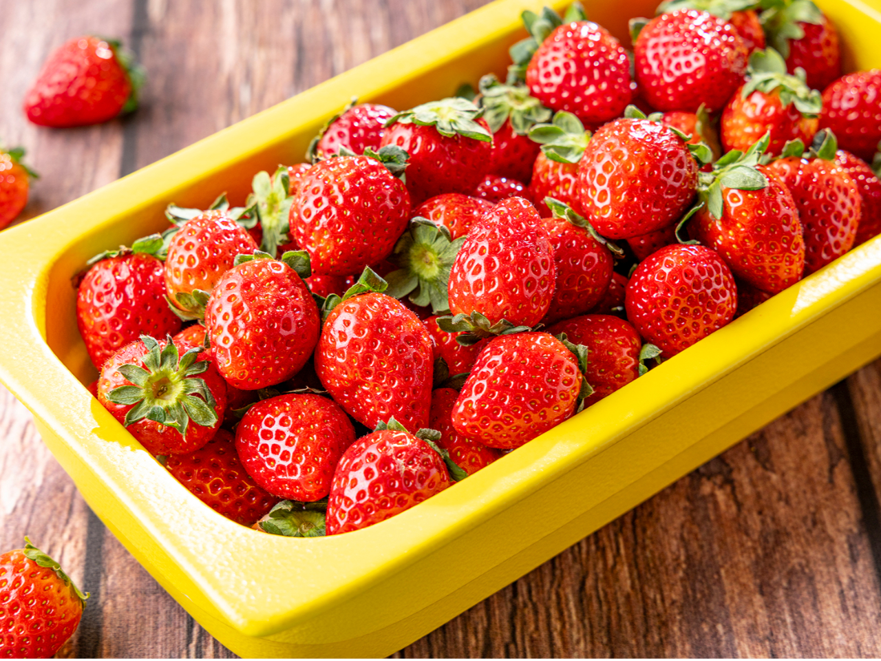 �t���b�V��䕁@1/5�`