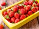 フレッシュ苺 1/5〜