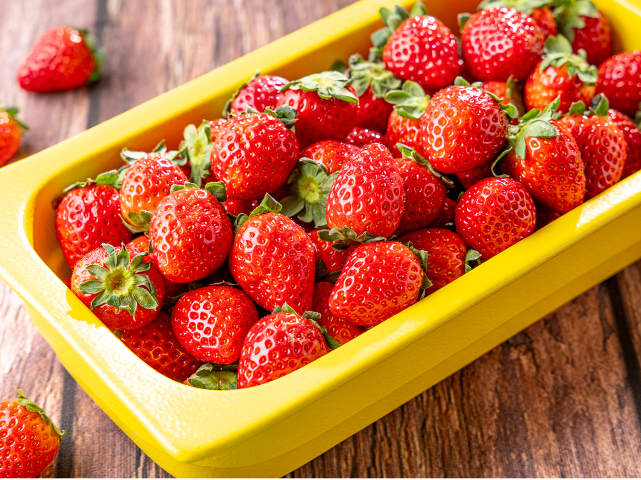 �t���b�V��䕁@1/5�`