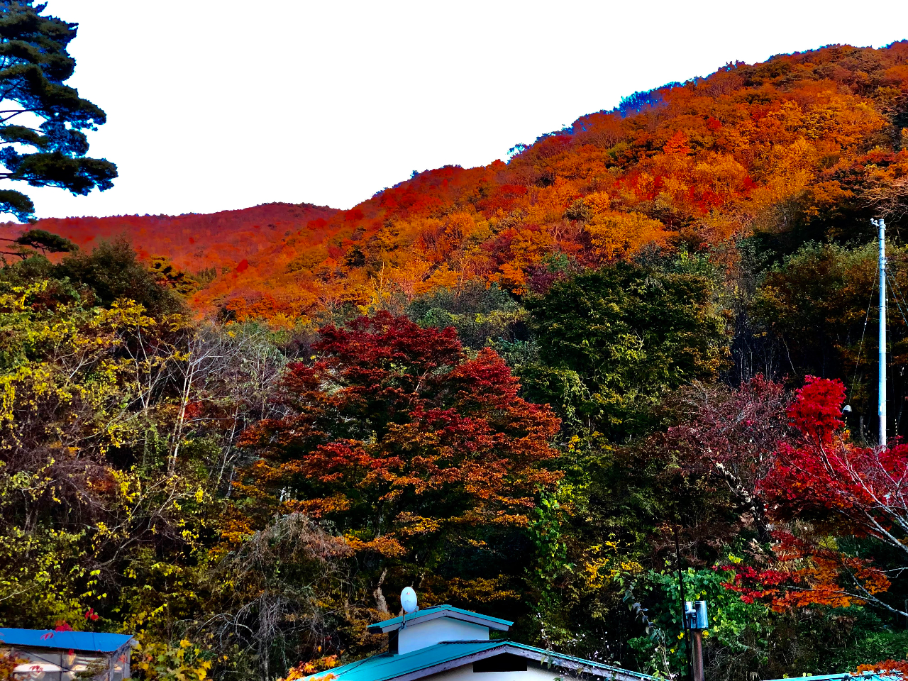 �g�t�̋G��