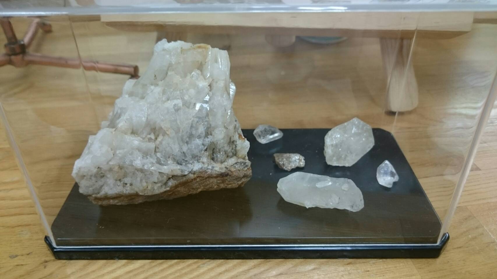 金山産 姿石 ラクダ 【公式通販】