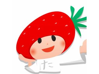 【いちご摘み取り体験】300グラムのいちごを摘み取り体験!章姫・かなみひめ・かおり野・あまクイーン・よつぼし・紅ほっぺを栽培しております!※コロナ対策実施中※