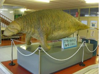 正面玄関ではステラーカイギュウがみなさんをお出迎えしてくれます(^^♪