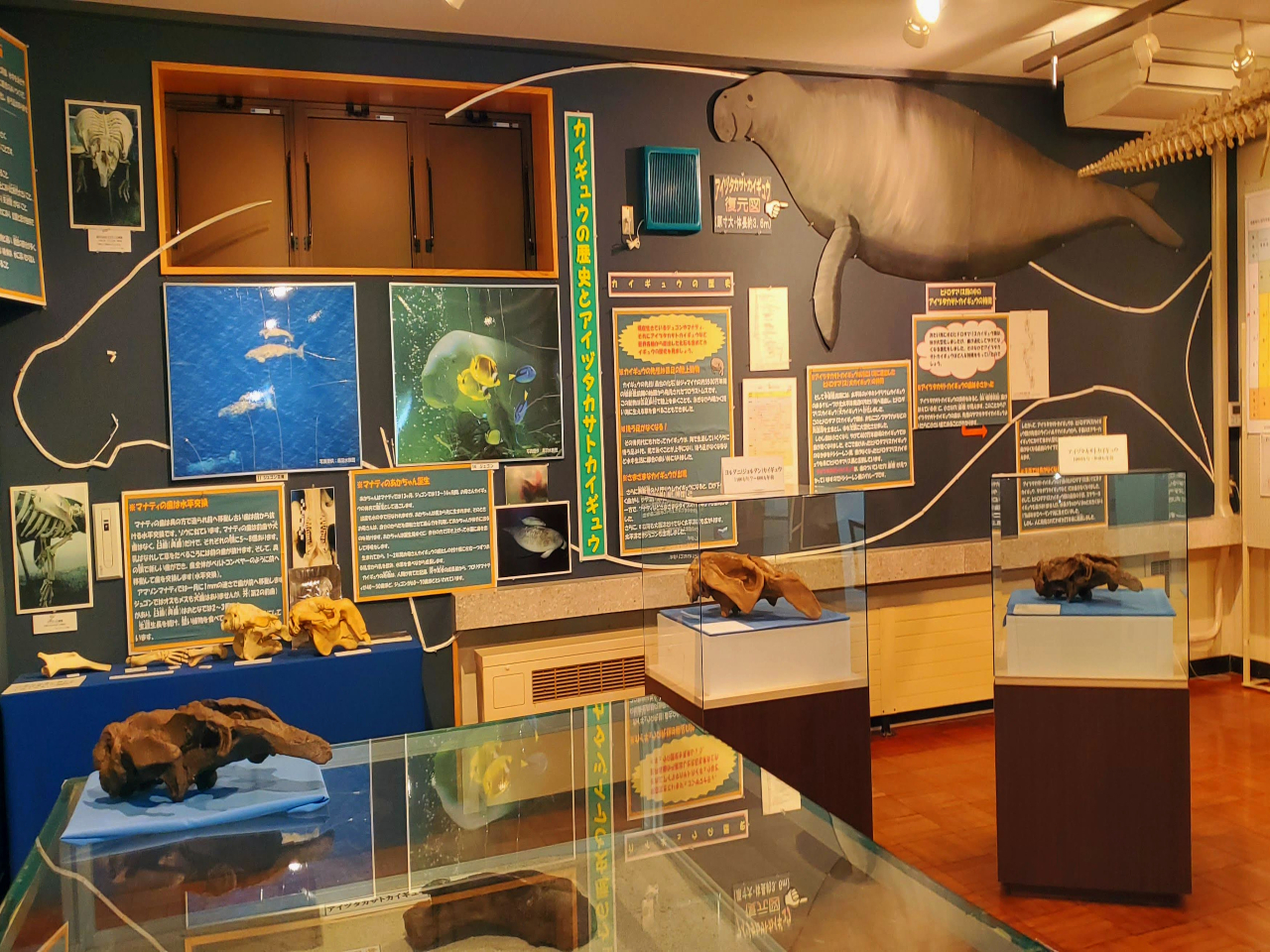 lW(JCME)@{ݖɓĂ錧̓VRLOEACd^JTgJCMẺ΂WĂ܂B܂ꕔĂȂ̂ŁAMdȉ΂łB