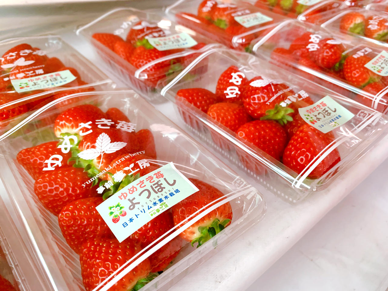 pbN\tgN[AǃfJP[LA߂䕑啟ȂǂJtFXŔ̔Ă܂B