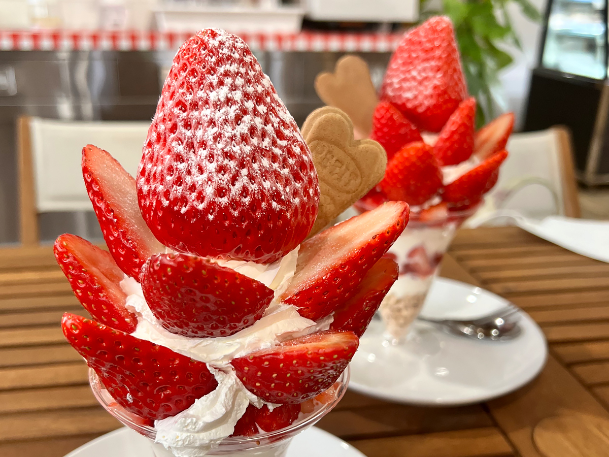 Xfarm67uǃfJptFvlCIf100%ňĂ߂䕂Ƃ߂䕃V[xbgAIWiă|َqȂǂptF