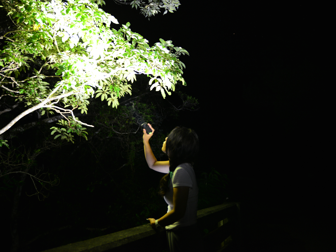 ̂΂ցIMт̖؁XX|bgCg𗁂тĂ悤c