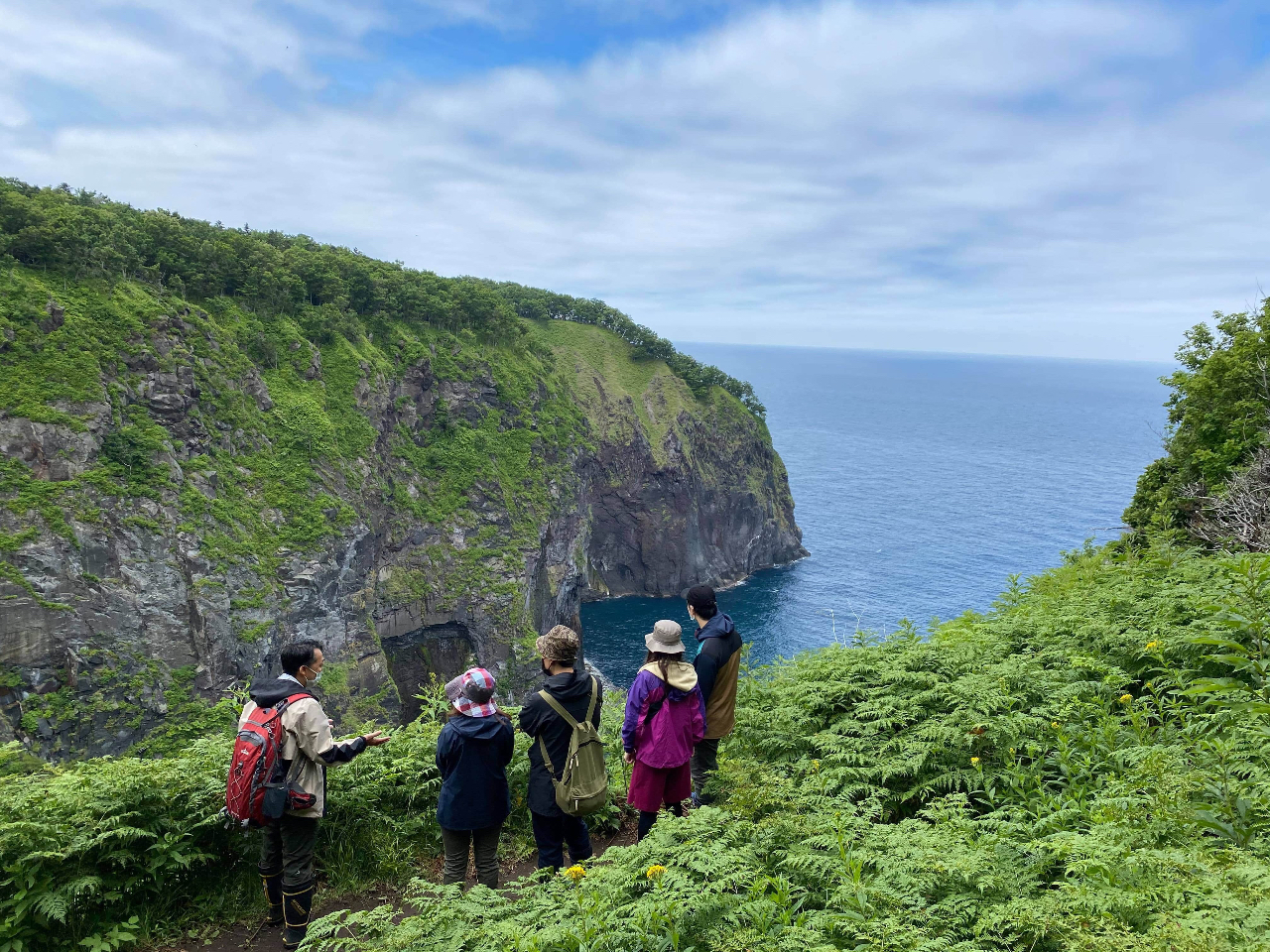 【北海道・知床】弊社イチオシ!遊歩道の無い原生林散歩!森歩き絶景ツアー【無料送迎...