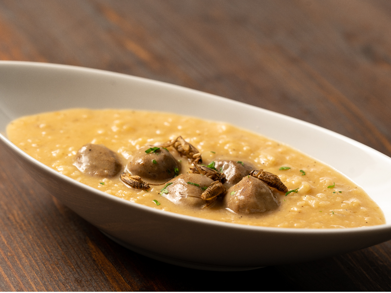 昆虫を使った軽食メニューもございます(昆虫つくねのやさしいチーズリゾット)