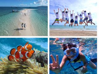 幻の島上陸のみコース