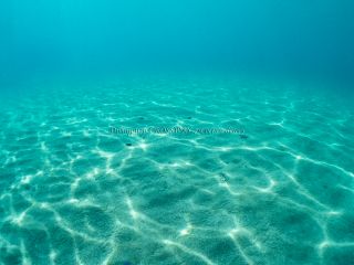 積丹ブルーの水中