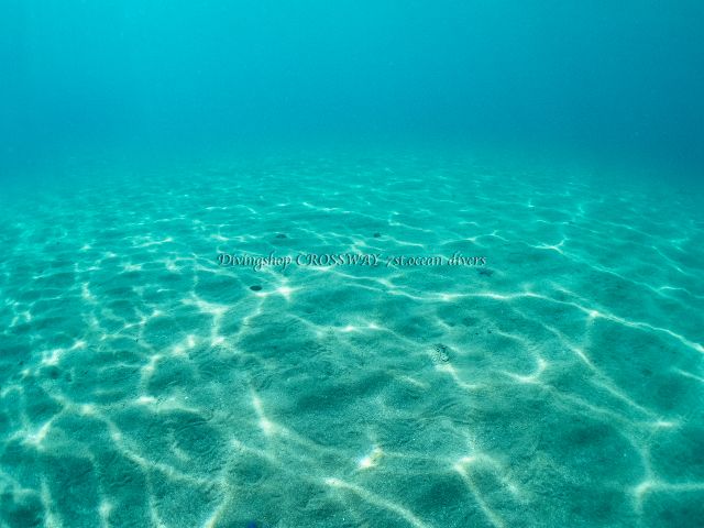 積丹ブルーの水中