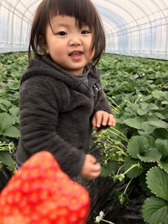 2歳児以下は無料で入園できます。