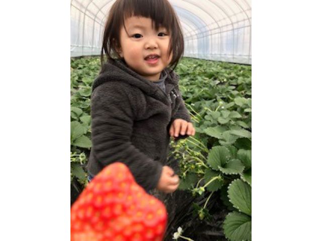 2歳児以下は無料で入園できます。