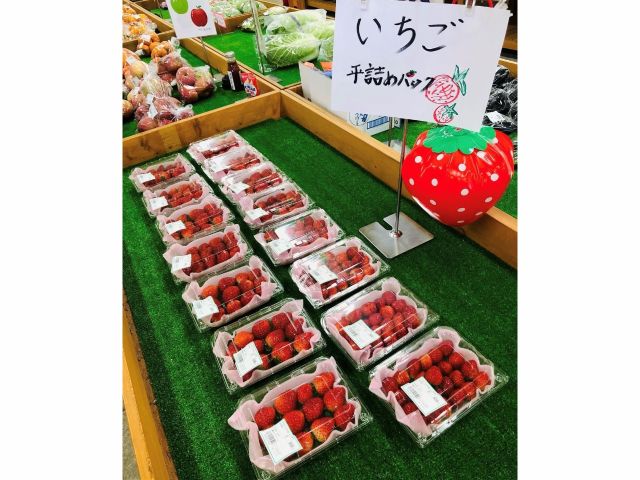 併設の直売所では、新鮮なフルーツやお野菜などを販売中!お土産にいかがですか?^^