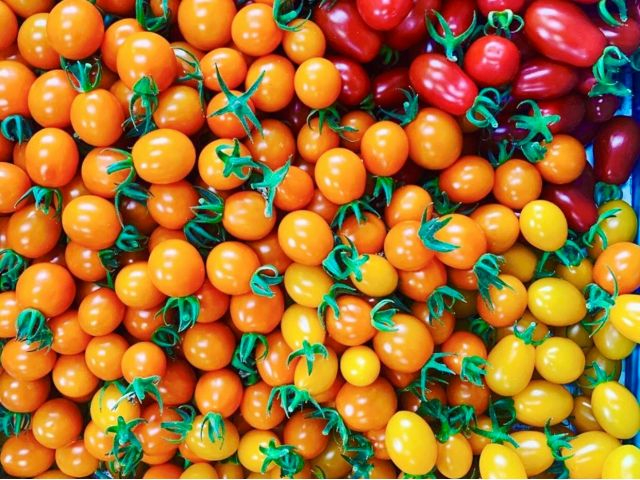 ̗L@͔|ɂĖ_̃g}gЂƂオ艺