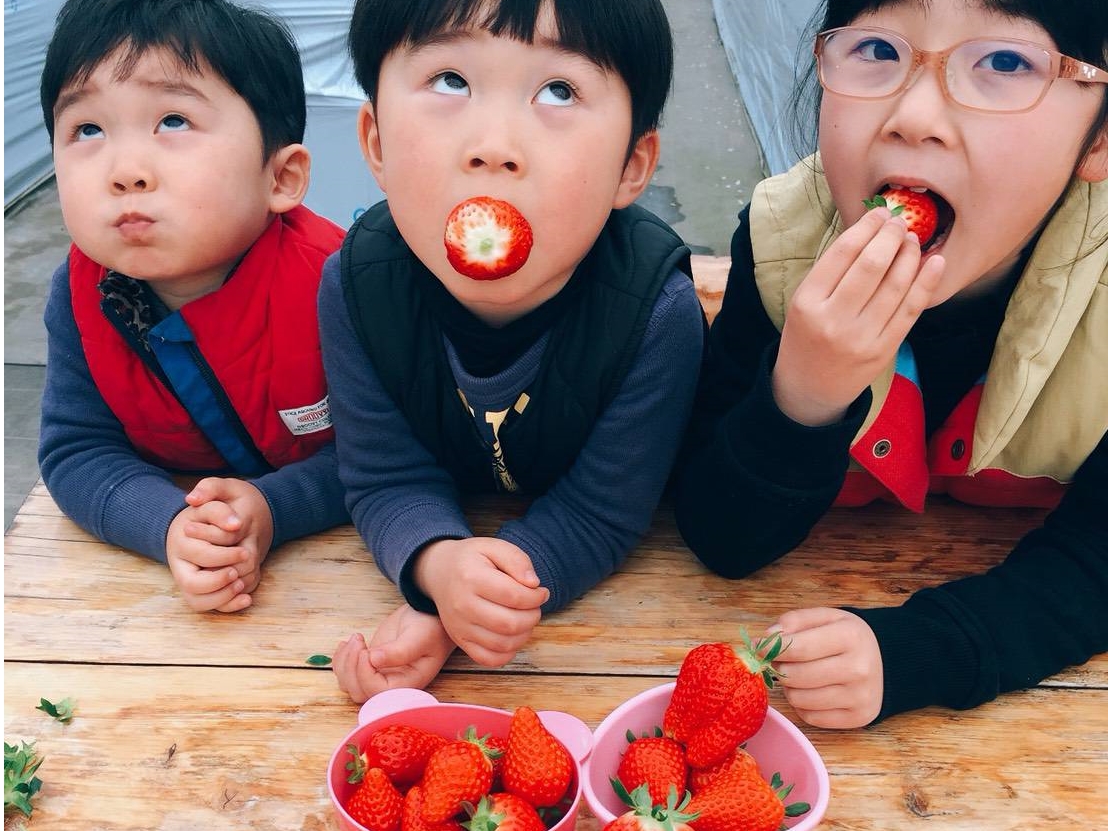 伊予大洲駅周辺のいちご狩りランキングtop5 じゃらんnet