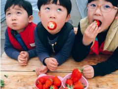 伊予大洲駅周辺のいちご狩りランキングtop5 じゃらんnet 伊予大洲駅周辺のいちご狩りランキングtop5 じゃらんnet