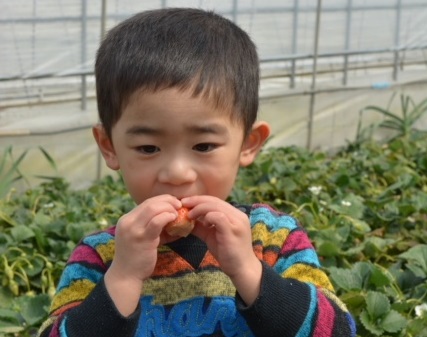 ƋɁAF܂̂zS҂ɂĂ܂I